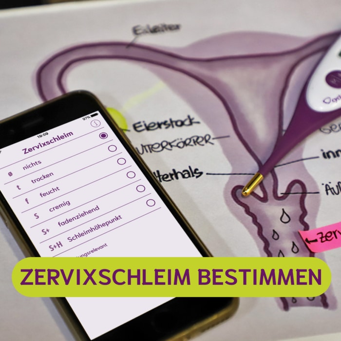 Zervixschleim-Kategorie-bestimmen