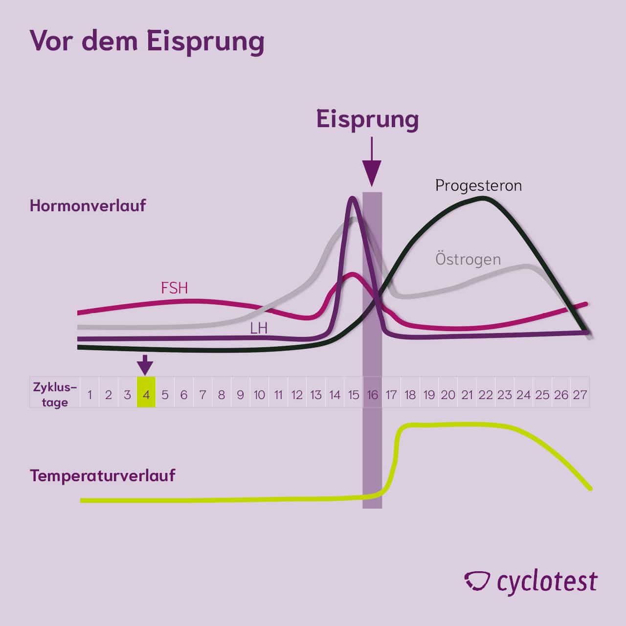 Darstellung des Verlaufs der Hormone FSH, LH, Progesteron und Östrogen sowie der Temperatur in der ersten Zyklushälfte vor dem Eisprung.