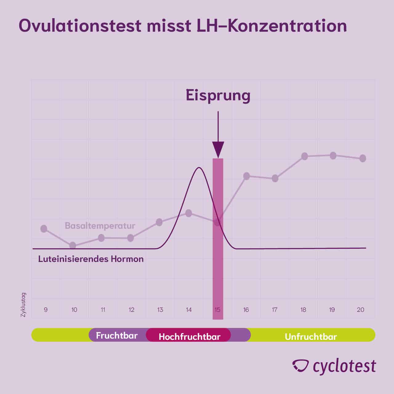 Ein Ovulationstest misst den LH-Anstieg, der dem Eisprung vorausgeht.