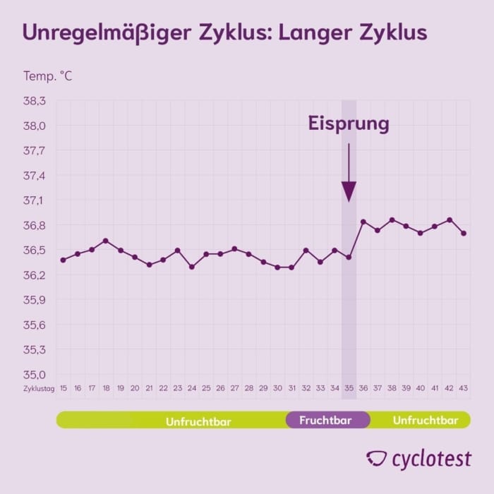 Die Grafik zeigt eine Zykluskurve bei einem sehr langen, unregelmäßigen Zyklus.
