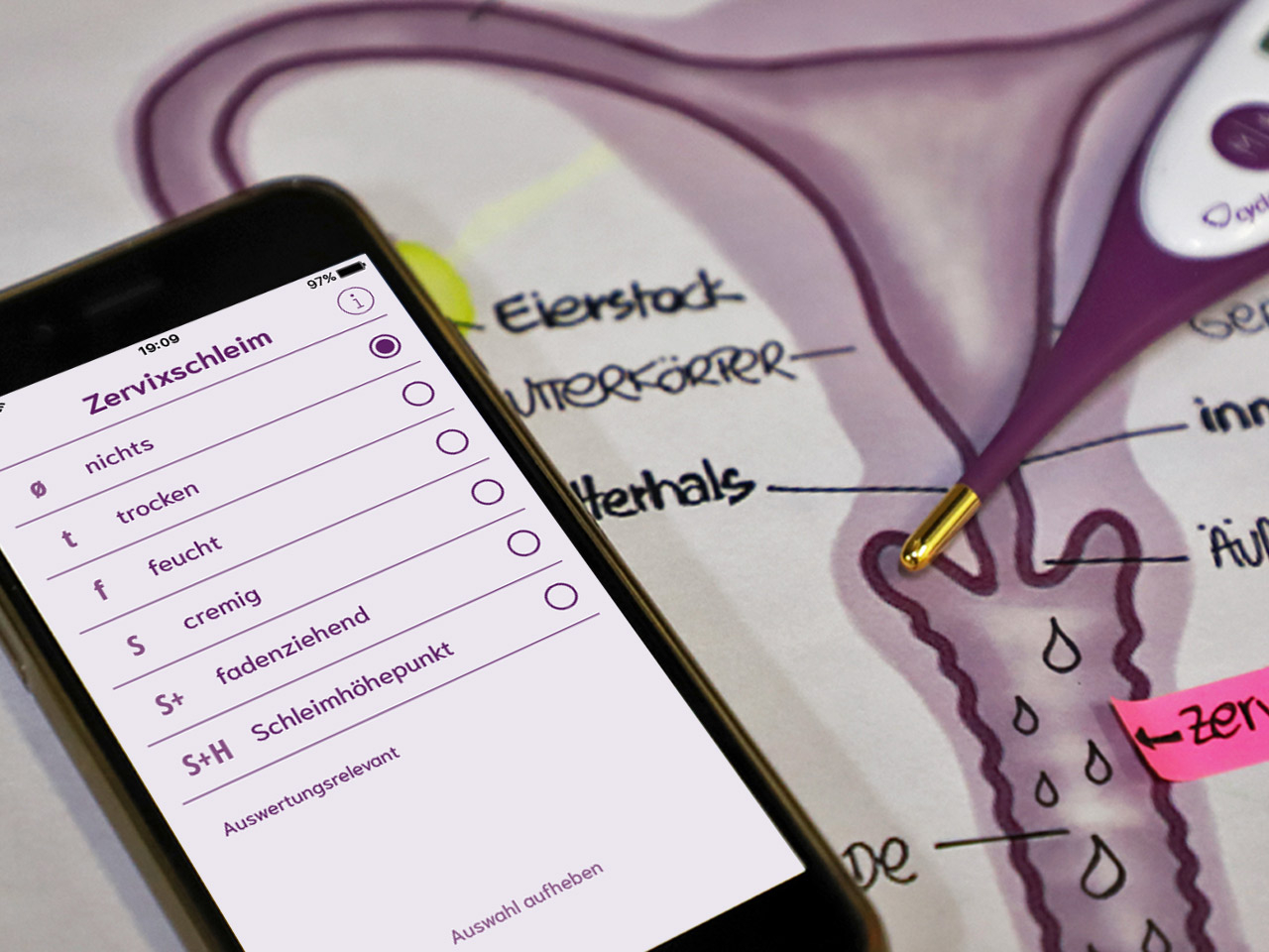 Zervixschleim in der mySense-App dokumentieren