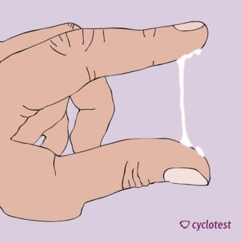 Ist zervixschleim oder zuverlässiger was ovulationstest Den Ovulationstest