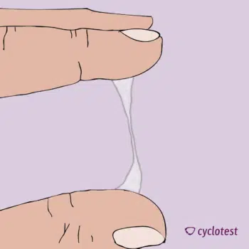 Eisprung zervixschleim vor Zervixschleim: Bestimmung